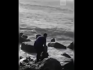 free а сахалине 18 летняя школьница погибла пытаясь сделать селфи на фоне штормящего моря hd