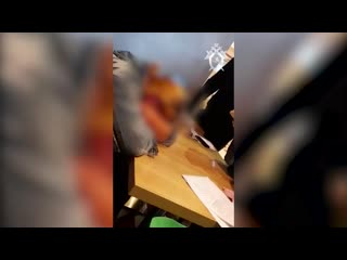 free 24 летняя жительница дагестана приехала в москву чтобы родить и продать новорождённого ребёнка hd