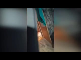 free школьник судя по всему 5 7 класс доказывает маме что гитлер нёс добро hd