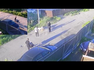 free вчера вечером в сыктыаре идиоты решили развлечься и спустили с поводков двух алабаев hd