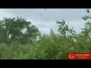 free ничего необычного просто ежегодный наплыв комаров на камчатке листайте дальше hd