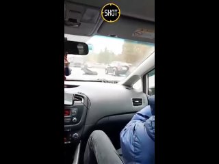 free раненый лось упал посреди столичного шоссе и не смог самостоятельно встать hd