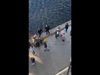 free в пскове полицейский спас жизнь 18 летней девочке свалившейся с моста в воду hd