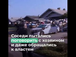 free в штатах соседи обратились в полицию т к мужчина долгое время собирал мусор возле дома и он давно попахивал hd