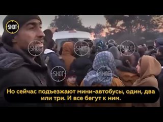 free военные пытаются усмирить мигрантов дерущихся на границе возле автобуса hd