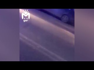 free в дагестане водила на семёрки долгое время катал на капоте сотрудника дпс несмотря на призывы выйти из машины hd