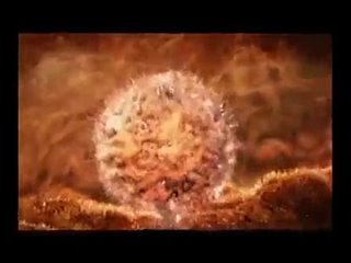 free 9 месяцев за 6 минут путь ребёнка от зачатия до рождения hd