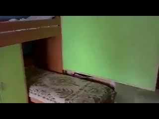 free сбор секс гей танкистов в хорошем качестве без смс и регистрации hd