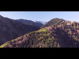 free видео от реинкарнация память души и ее воплощения hd