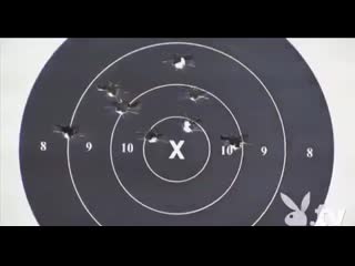free голые секси женщины стреляют по мишеням очень эротично hd