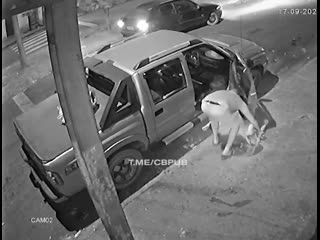 free в бразилии муж зарезал свою жену прохожий не смог помочь женщине hd
