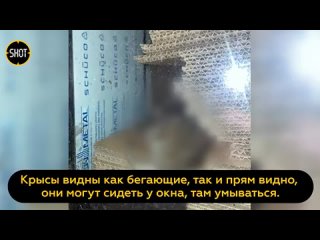 free территория московского элитного жк премиум класса сохо нохо hd
