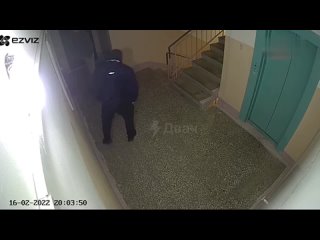 free в нижнекамске двое мужчин жестоко избили соседей до потери сознания из за ночных алкотусовок hd