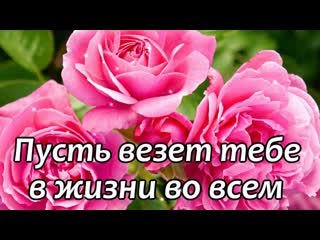 free с днем рождения женщине поздравление с днем рождения женщине hd