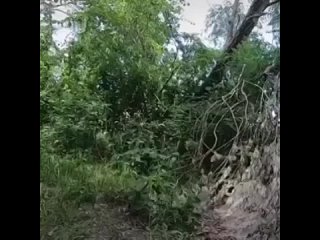 free отличная ароматная прикормка аж самому прикормиться захотелось hd
