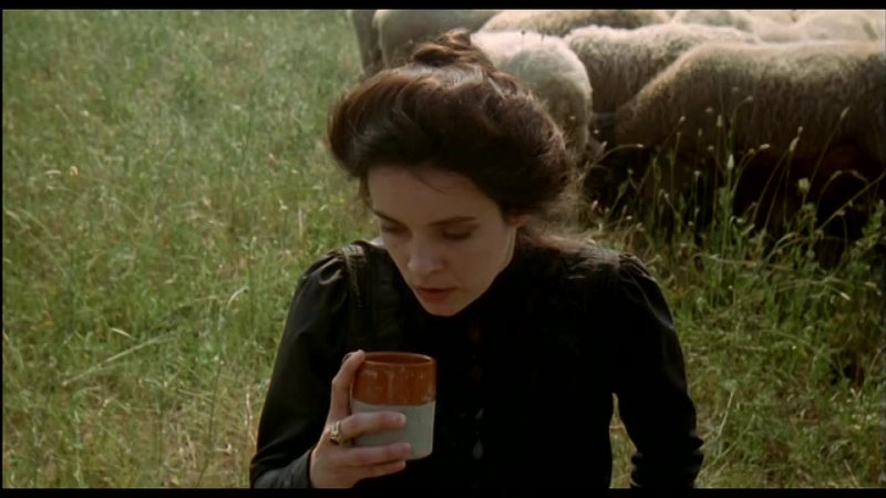 free флореаль пора цветения фиориль пора цветения фиориль дикий цветок fiorile 1993 hq hd