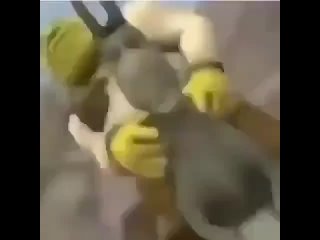 free шрек летит на козле и там кароче экшен пиздец полный разьеб онлайн hd