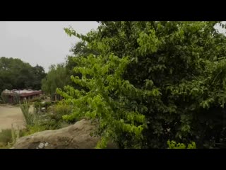 free молодой темноволосый транс с короткой стрижкой трахается с очкариком hd