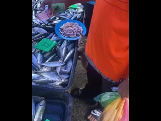 free кошечка захотела чего то усного она еще и в положении пусть кушает не жалко hd