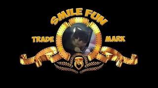 free smilefun приколы с кошками 453 смешные коты и котята самые милые и прикольные hd