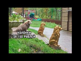 free domi show приколы когда не сделали домашку угарные мемы смешные истории от доми шоу hd