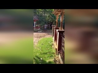 free житель индонезии в ходе конфликта с супругой молодыеее а затем расчленил тело упаковав части жены в контейнеры hd