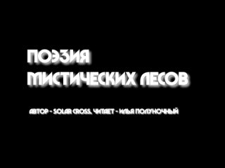 free solar cross мы уходим в лес читает илья полуночный hd