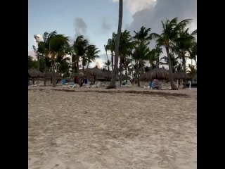 free обзор отеля в доминикане с отличным питанием и большой территорией bahia principe grand punta cana 5 bahia principe hd