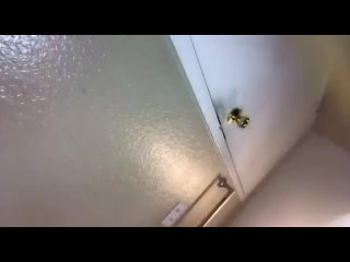 free порно мемы небольшая неудача hd