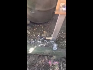 free женщина из краснодарского края поставила своему мужу могилу с крестом и датой смерти во дворе их дома но есть ньюанс hd