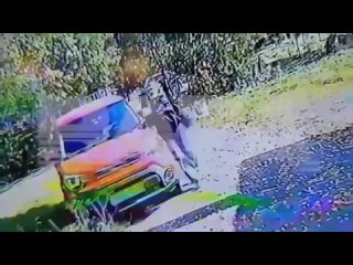 free в подмосковье женщина утопила свой автомобиль в водохранилище забыв переключить коробку передач в режим паркинга hd