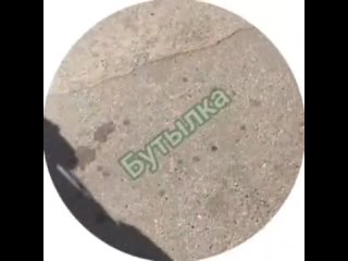 free в красногорске зумерша решила выйибнуться перед подписчиками и начала оскорблять своего учителя местные сообщают что hd