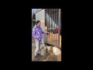 free челлендж в стиле тик ток молодых ученых и студентов герой нашего времени hd