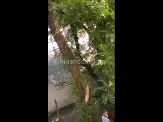 free в краснодаре наркоманы колются в половые органы под окнами дома hd