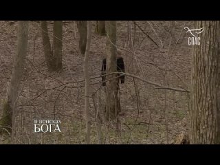 free путь и истина и жизнь в поисках бога через астрал и встречу с бесами опасный путь к богу известного режиссера hd
