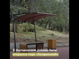 free видео от мама я в чите i новости читы и забайкалья hd