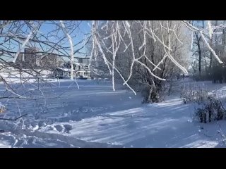 free зимняя сказка в парке северное тушино зима москва красотаприроды hd