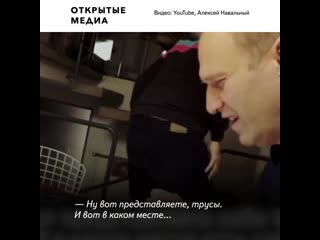 free гульфик так называемый предполагаемый отравитель рассказал навальному что яд наносили на его трусы hd