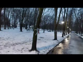 free сегодня утром в барановичах в сквере на многих деревьях появилось более 100 портретов политзаключённых hd
