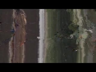 free и волки сыты красивый секс домашнее порно частная эротика вечная память hd