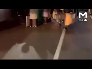 free в алматы люди с вещам пытаются улететь из города но аэропорт закрыт hd