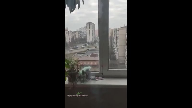free по предварительным данным так развлекаются чеченцы hd