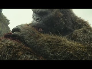 free looper россия все что вам нужно знать перед просмотром годзилла против конга hd