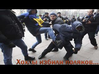 free украинские беженцы заставляли поляков кричать слава украине украинцы избили поляков в польше hd