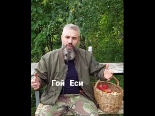 free видео от мухоморье для здоровья 1ый мухоморный hd
