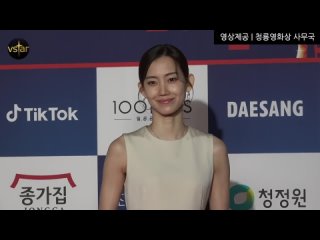 free 청룡영화제 김혜수 김희애 신민아 신혜선 신현빈 여배우들 눈부신 드레스 자태 제41회 청룡영화상 레드카펫 2021 2 9 hd