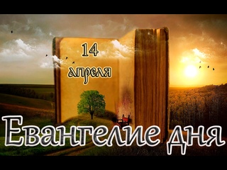 free евангелие и святые дня апостольские чтения неделя 4 я великого поста 14 04 24 hd