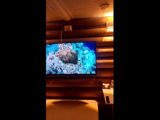free live примавера баня с бассейном верхняя курья пермь hd