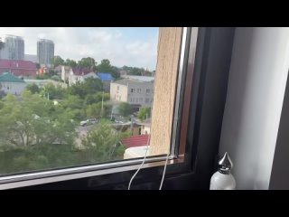 free мама отличника михалыч нажрался и понеслось hd