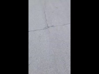 free трахать ее было охуенно подглядываем слитые видео фото порно студентки выпускницы секс минет молодые жесткое hd